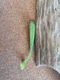 Floating Punker Shads 6cm (Pack of 6) – UV Active – Other Sizes Available | Paddle Tail | Softbait
